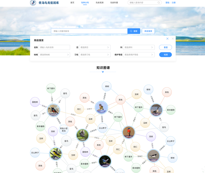 青海鳥(niǎo)類(lèi)資源庫(kù)網(wǎng)站交互及UI設(shè)計(jì)